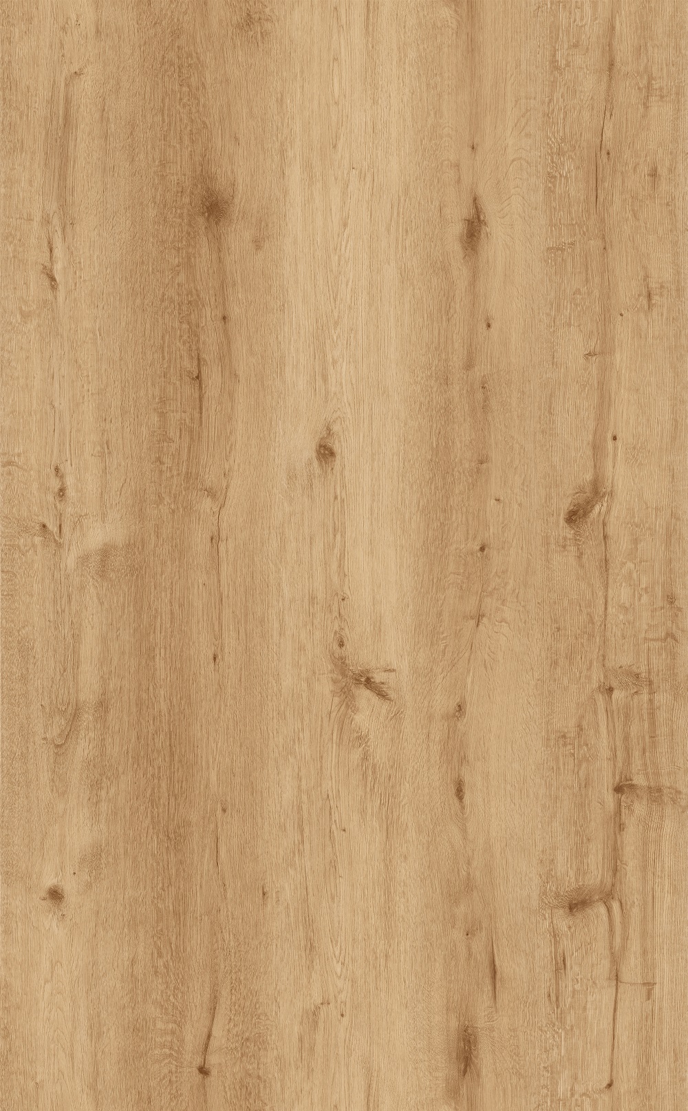 Sand Oak