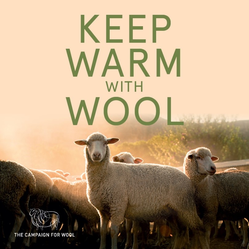 Wool Month - wool carpets