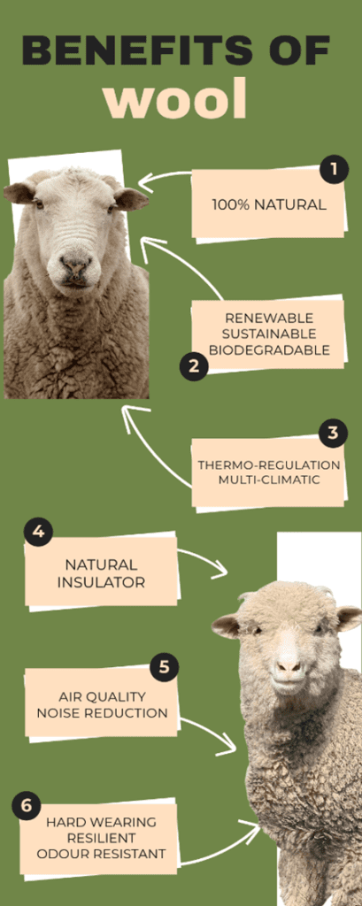 Wool carpets - the benefits of using wool