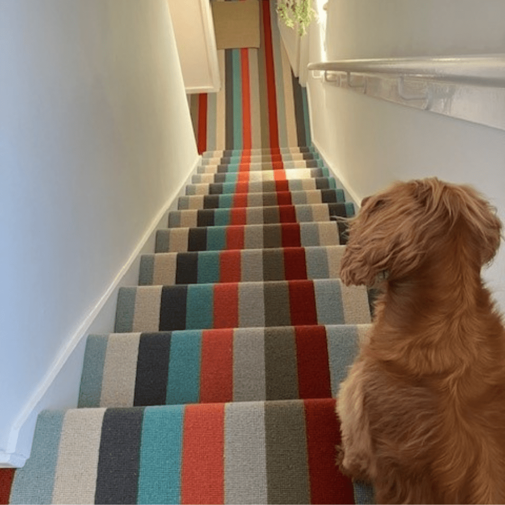 Staircase carpet- alternative flooring
