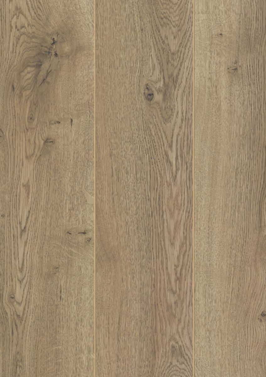 Oak Dezent D3668