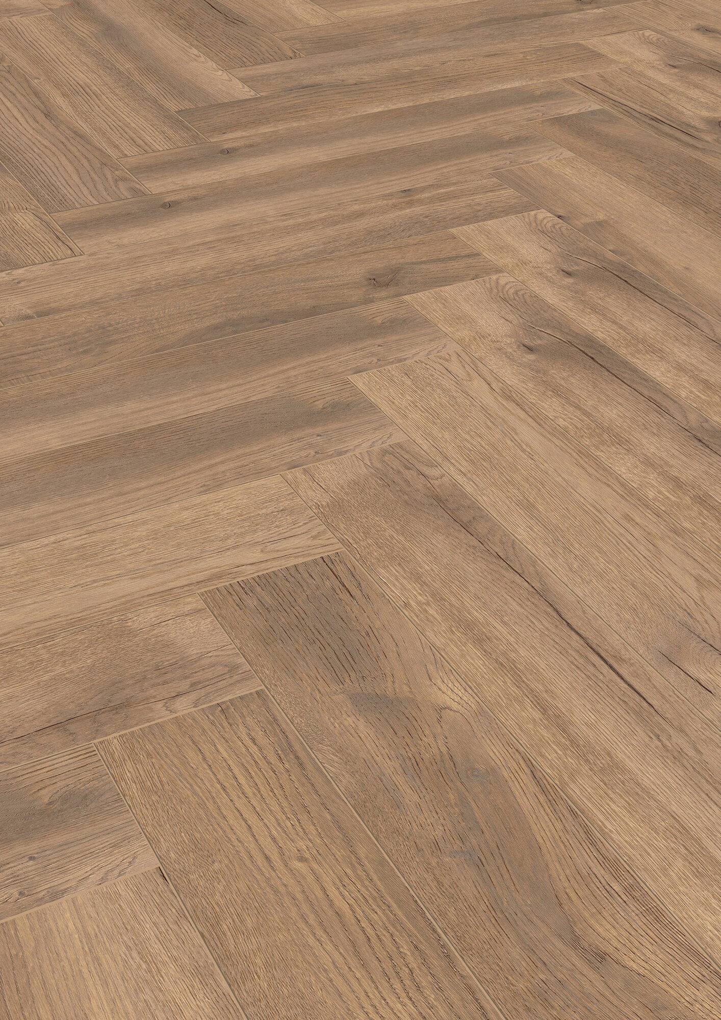 Treviso Oak