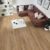 Natural Character Oak KP145
