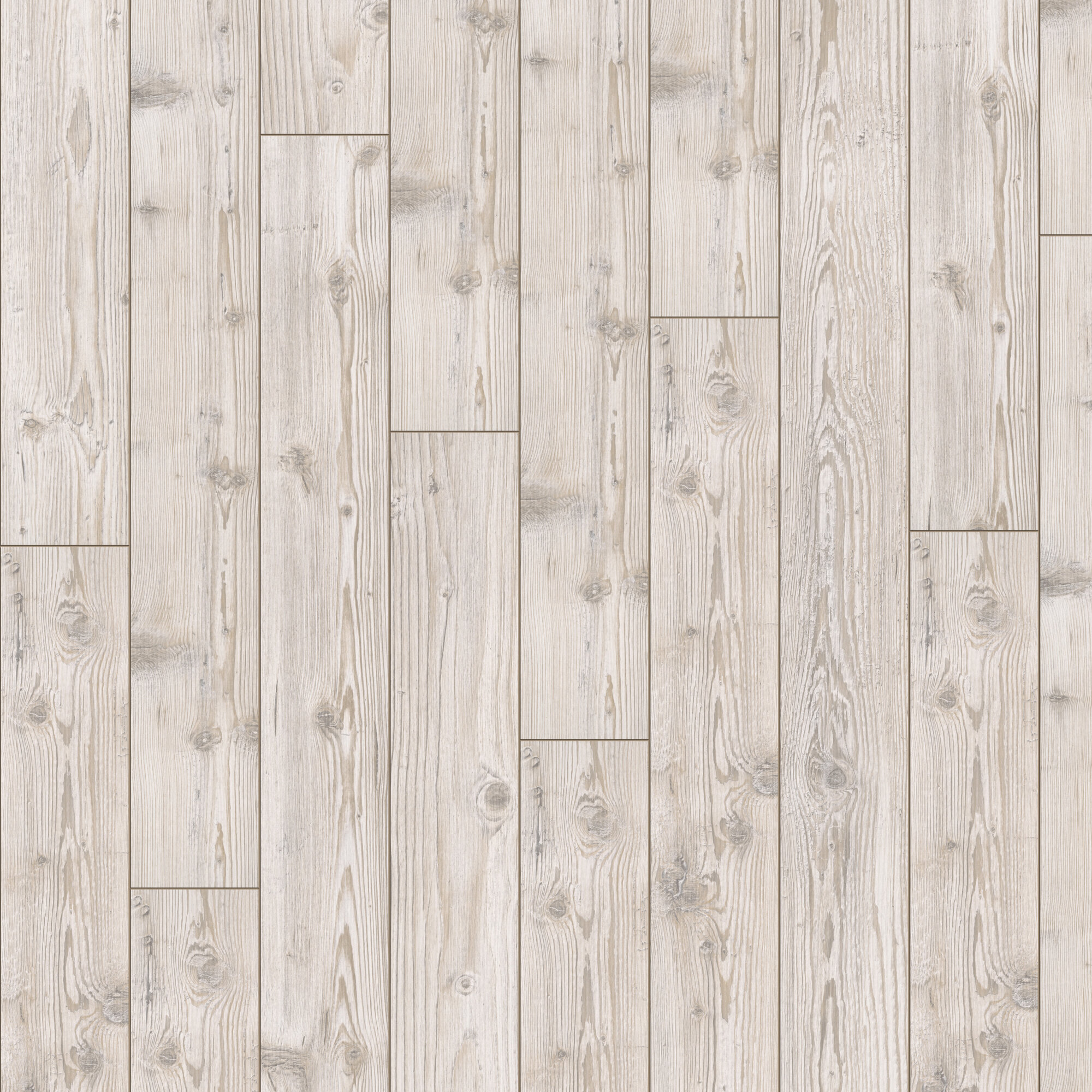 Siberian Spruce D2967