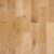 Forest Oak EP101