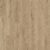 Dune Oak