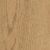 Barrel Oak Dune