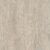 Seaboard Oak