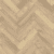 Dried Willow