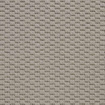 carpet setting with a dark shade