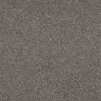 Dark grey shade carpet