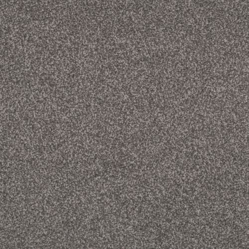 Dark grey shade carpet