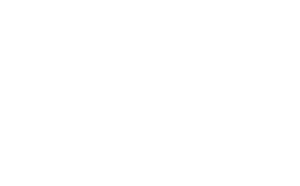 icon-artisan-white