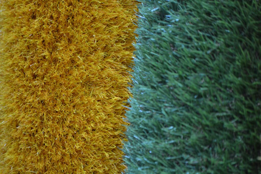Artifical grass